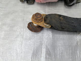Mazda Miata OEM used part product photo